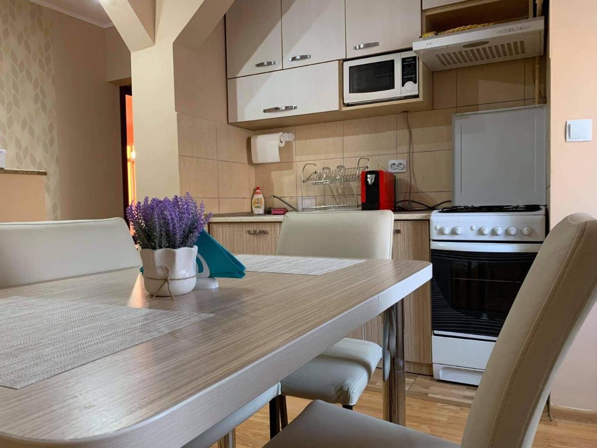 Vlad'S Apartment Targu Mures Ngoại thất bức ảnh