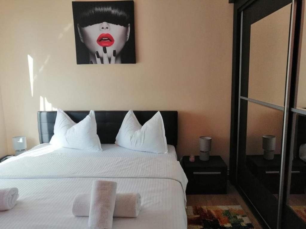 Vlad'S Apartment Targu Mures Ngoại thất bức ảnh